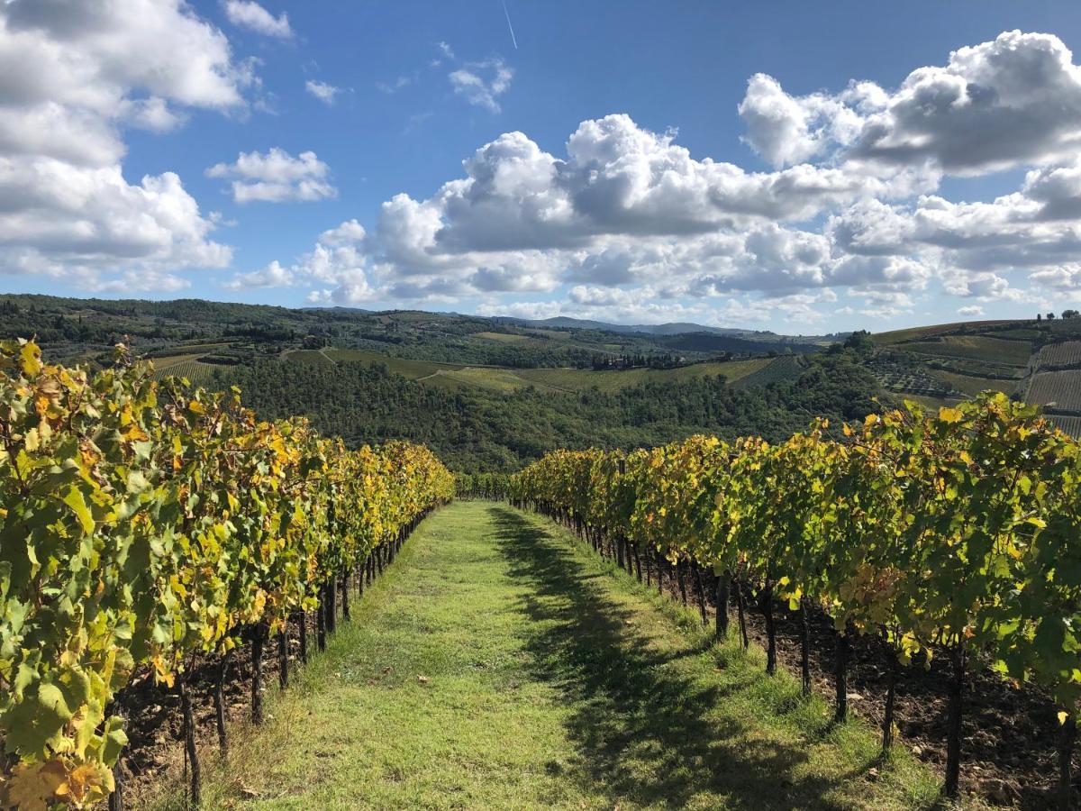 Fattoria Di Rignana Winery Bnb Greve in Chianti Exterior foto