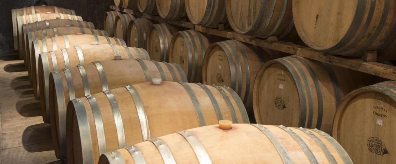 Fattoria Di Rignana Winery Bnb Greve in Chianti Exterior foto