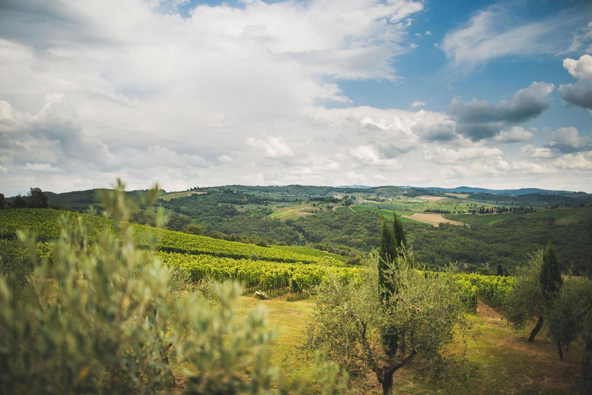 Fattoria Di Rignana Winery Bnb Greve in Chianti Exterior foto
