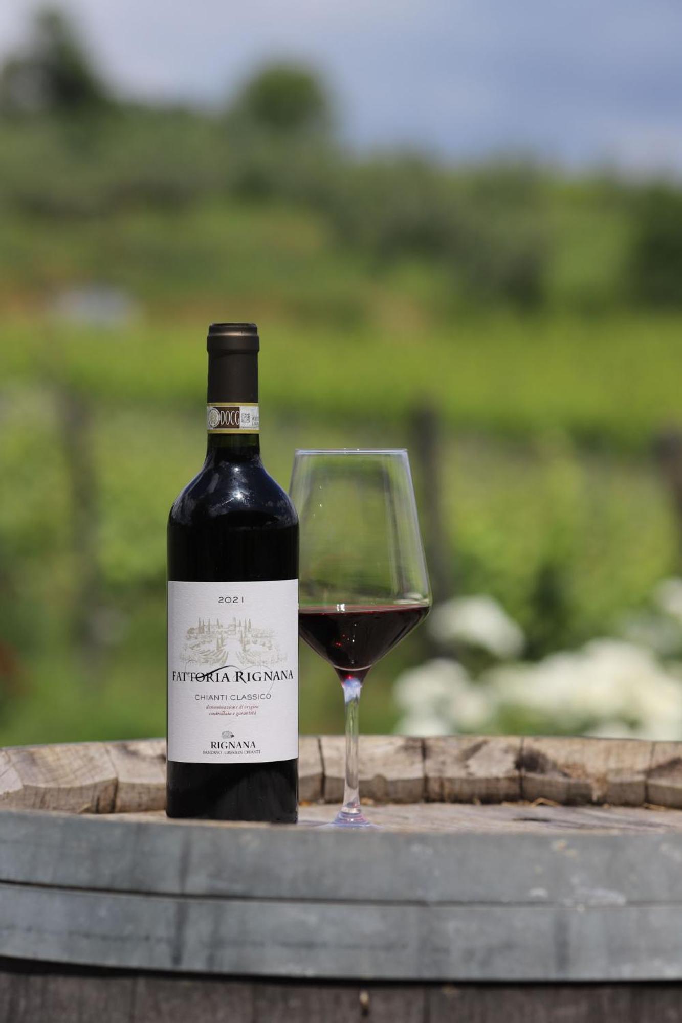 Fattoria Di Rignana Winery Bnb Greve in Chianti Exterior foto