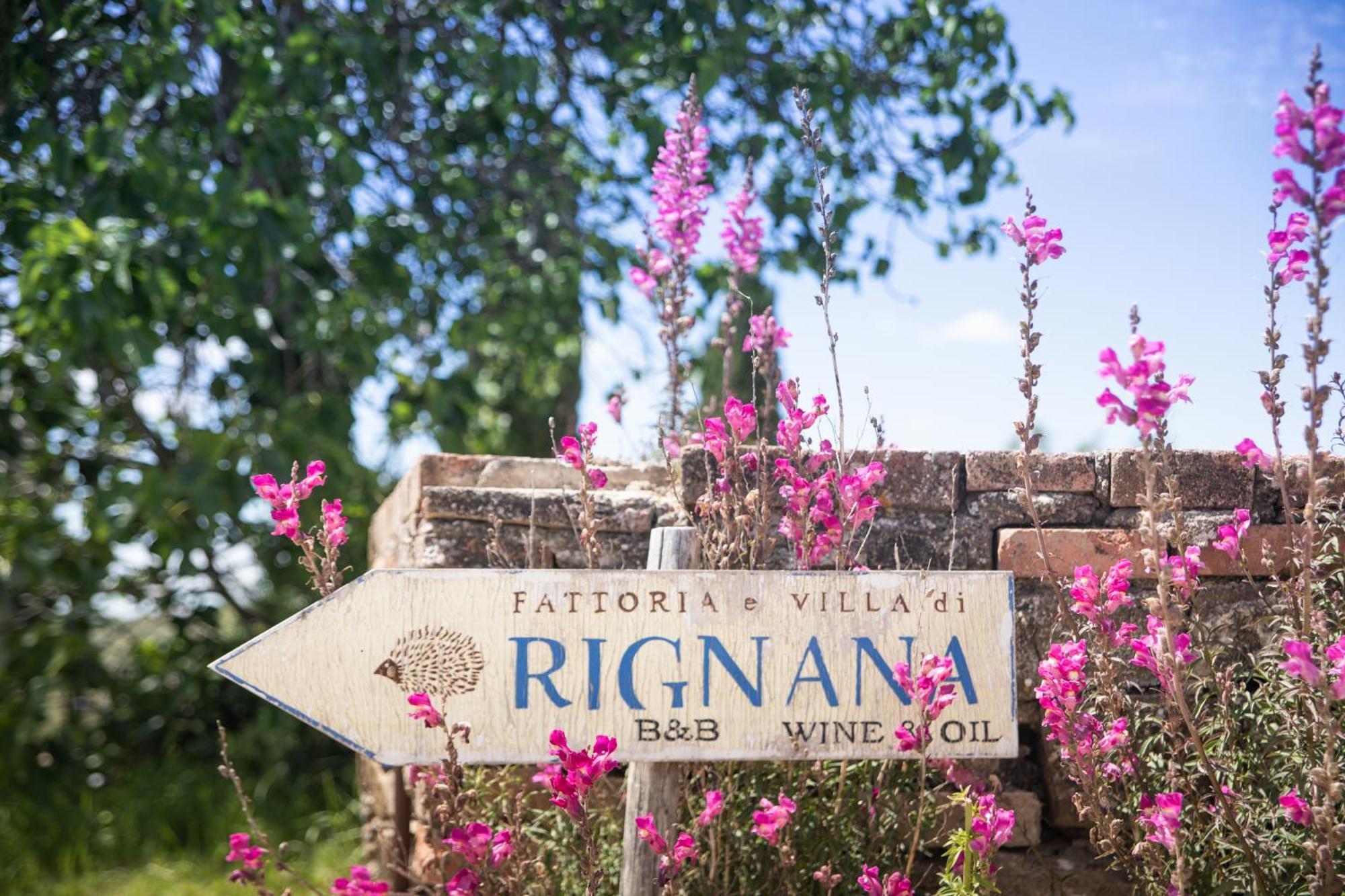 Fattoria Di Rignana Winery Bnb Greve in Chianti Exterior foto